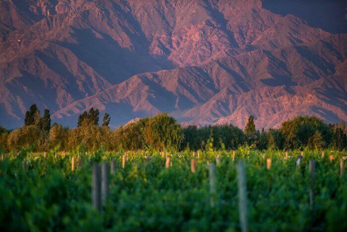 The wine lover’s guide to Argentina