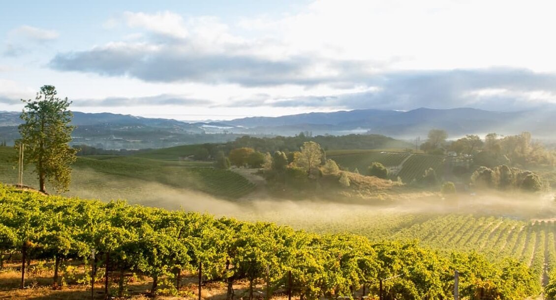 wineries