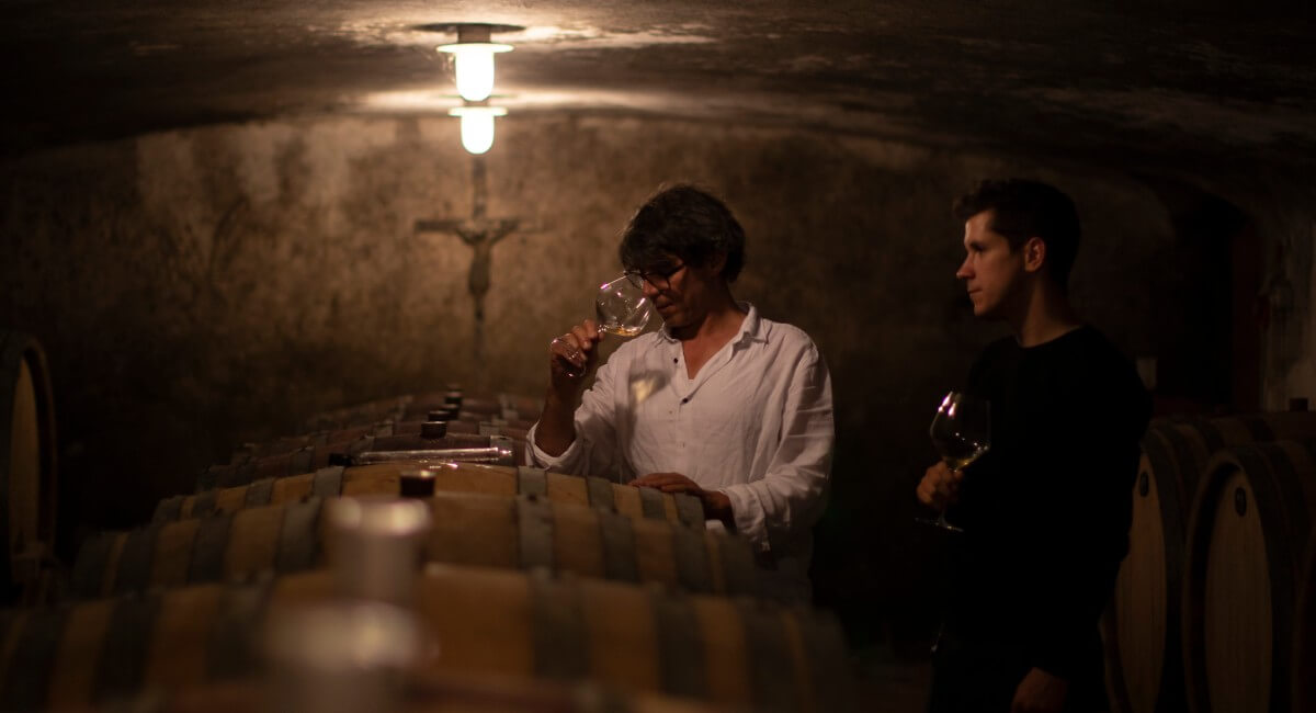 cnt_vino